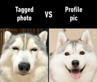 20190612_202729.png