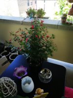 IMG_20190613_101957.jpg