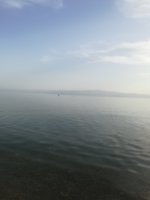 IMG_20190614_180606.jpg