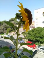 08D5F3DC-EBA4-440D-8FD5-5AFE7BBB9D30.jpeg