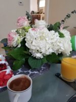 20190617_170021.jpg