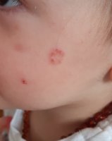 20190620_110804.jpg