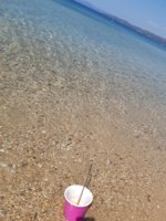 20190621_105642.jpg