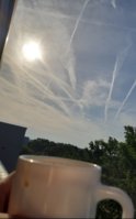 20190625_082422.jpg