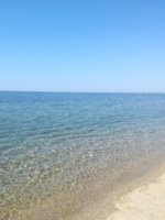 IMG_20190628_102256.jpg