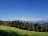 20190629_170603.jpg