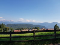 20190629_170615.jpg