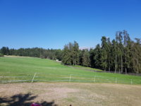 20190629_170905.jpg