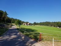 20190629_170910.jpg