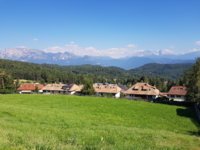 20190629_170335.jpg