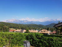 20190629_170305.jpg