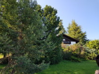 20190629_165932.jpg