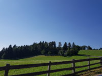 20190629_165348.jpg