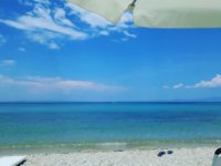 IMG_20190616_201628_264.jpg