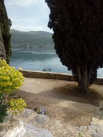 IMG_20190519_125856.jpg