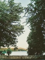 IMG_20190628_191917.jpg