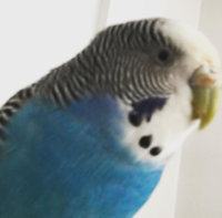 CADAF8D9-8037-4294-9D39-799283AEFEAB.jpeg
