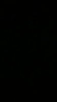 15621516930435299059849826927256.jpg
