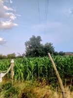 IMG_20190705_194517.jpg