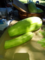 20190706_113653.jpg