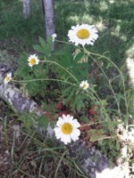 20190706_101726.jpg