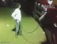 T5RW2y0.gif