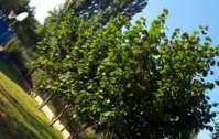 20190707_182123.jpg