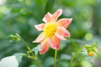 DSC_3716.jpg