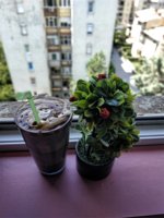 IMG_20190708_111935.jpg