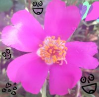 20190709_101842.jpg