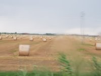20190713_183356.jpg