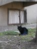 DSCN0989.JPG