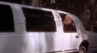 B4B9946C-21AF-4A85-846D-B9BFE679EE98.gif
