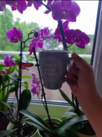 20190715_065403.jpg