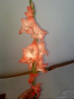 20190715_131745.jpg