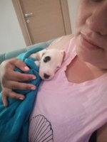 IMG_20190715_192740.jpg