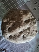 IMG_20190718_175402.jpg