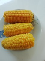IMG_20190719_130238.jpg