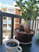 IMG_20190720_104726.jpg