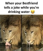 644C7910-7926-4591-93D2-4A29818B8DE4.jpeg