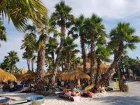 20190720_174158.jpg