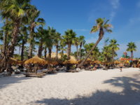 20190720_173958.jpg