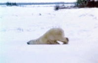 5F49B56F-02C6-4849-9B2E-7D23BC74306D.gif