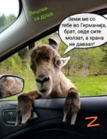 EC05B002-D77A-4B18-B49F-F2274C6ABEF3.jpeg