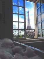 eiffel-tower-view-room.jpg