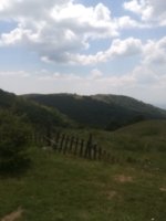 IMG_20190721_131527.jpg