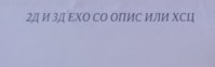 20190726_115559.jpg
