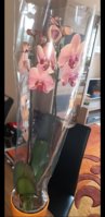 Screenshot_20190729-115639_Gallery.jpg