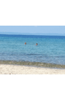 20190729_200829.gif