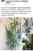 20190801_102125.jpg